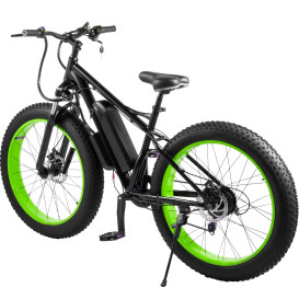 Probably The Best Fat Electric Bicycle