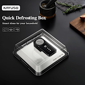 KAYUSO Quick Defrosting Box: Fresh in Minutes