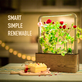 Nature Box: Smart, Simple, Renewable Indoor Garden