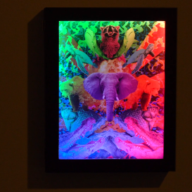 Colorizer Frame