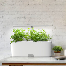 Botanium Vega - Simplified Indoor Gardening