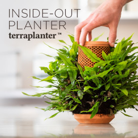 terraplanter