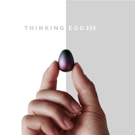 Thinking Egg III: It's Time To Slow Down