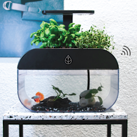 EcoGarden: World's Smartest Interactive Ecosystem