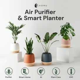 KORU: Purify Your Air & Grow Healthy Plants
