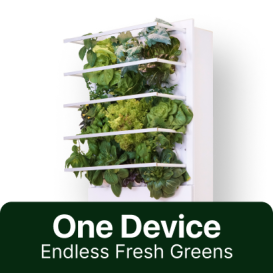 HydroArtPod: Grow & eat fresh every day - forever