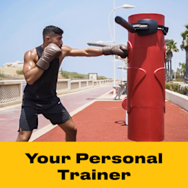 Boxing Buddy: Your Punching Bag Now Strikes Back