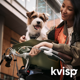 Kvisp: Discover the joy of biking with your dog.