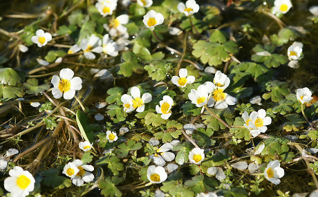 Wmqgizs76l10smhfpbeh