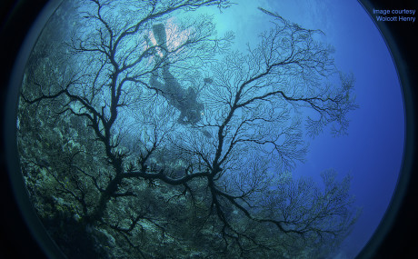 Epseox3cdd8xlo0cst36