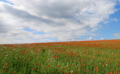 S6nsx2rtumvuwzcblvjh