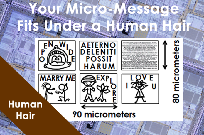 Human Hair Under Microscope 1000x - Micropedia