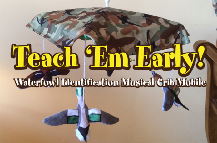 Teach Em Early Duck Identification Crib Mobile Indiegogo