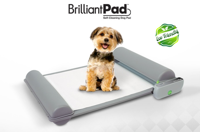 self cleaning dog pad