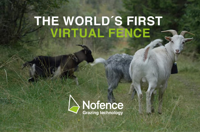 Nofence The Virtual Fence For Grazing Animals Indiegogo