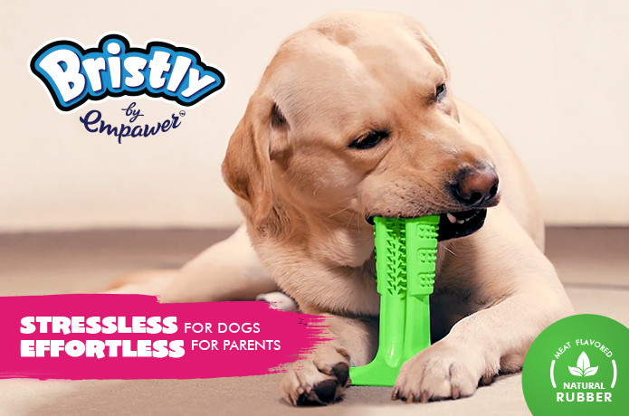 World's Most Effective Dog Toothbrush 