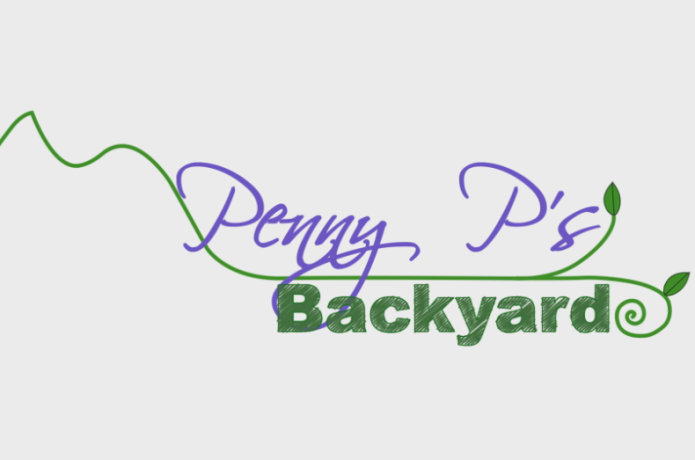 Penny P S Backyard Indiegogo