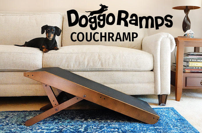 indiegogo dog ramp