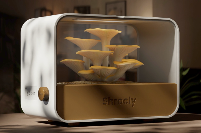 Shrooly: grow mushrooms you can't find anywhere