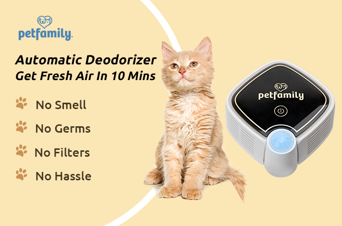 Petfamily: The Fastest Smart Deodorizer