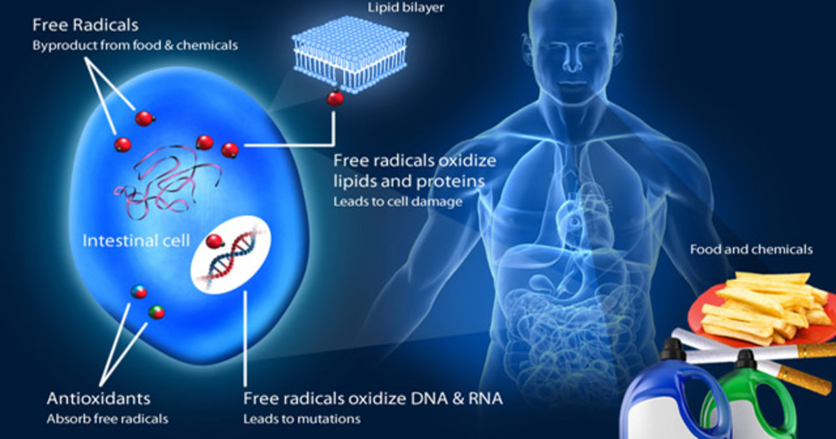 kangen antioxidant water