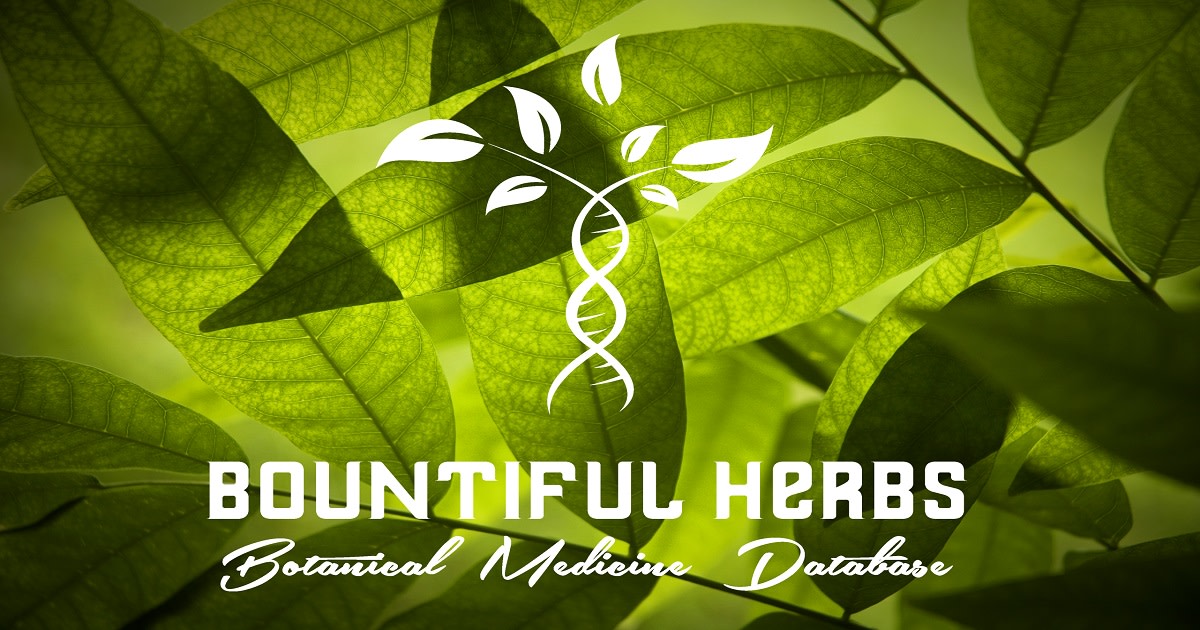 Herbal Medicine At Your Fingertips 