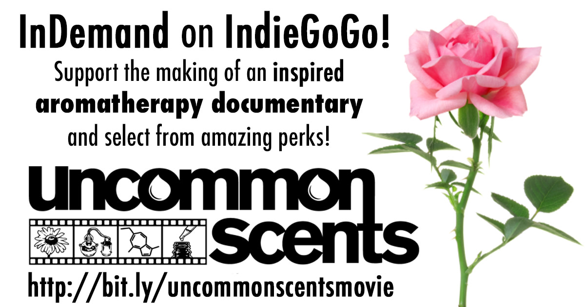 Scents An Aromatherapy Documentary Indiegogo