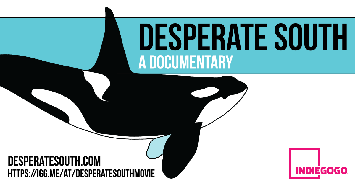 Desperate South - Killer Whale Documentary | Indiegogo