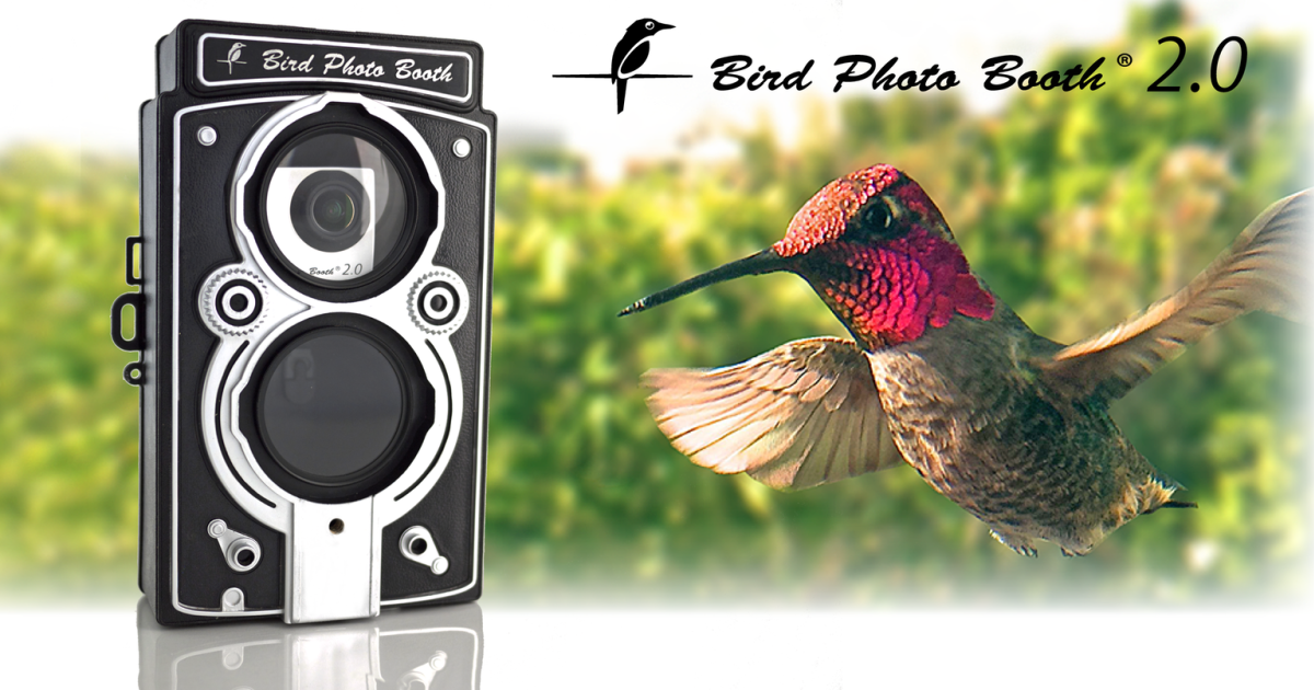 Bird Photo Booth 2 0 Bird Feeder Bird Cam Combo Indiegogo