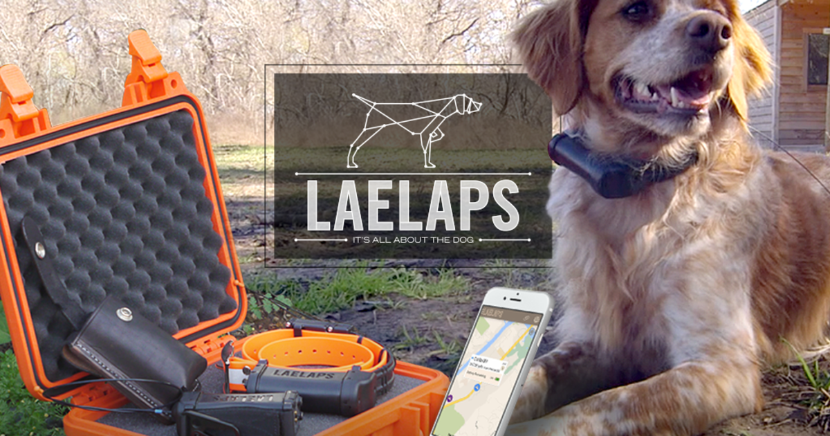 long range gps dog tracker