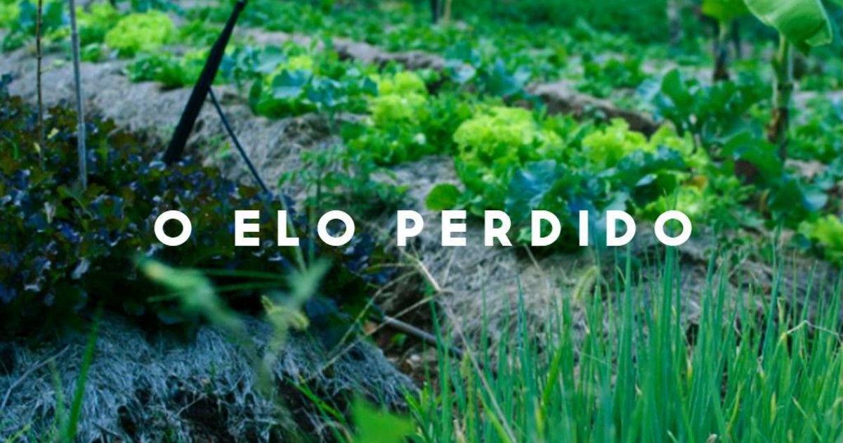 Elo Perdido - Conceito e o que é