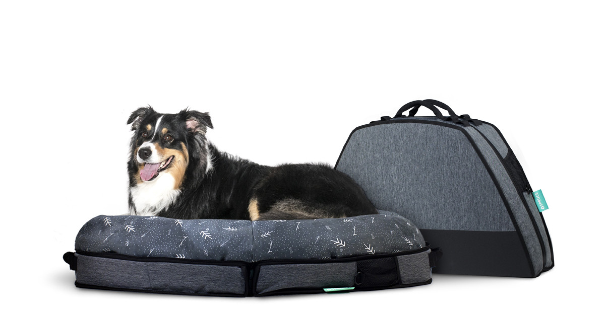 travel dog bed