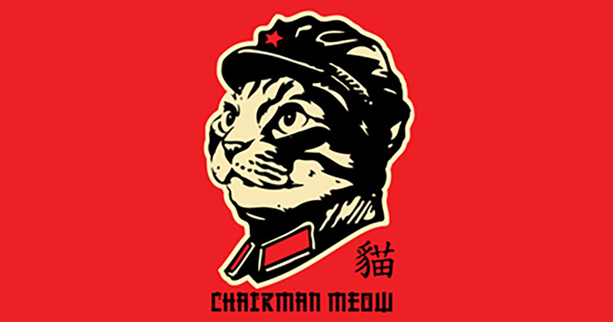 Chairman Meow: a short film | Indiegogo