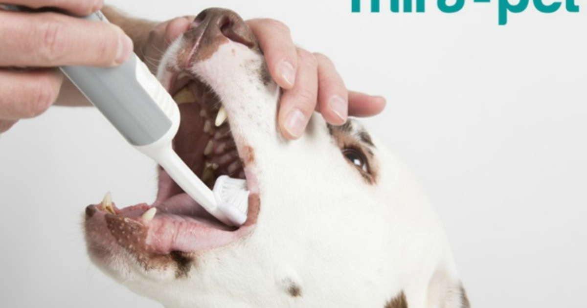 Indiegogo store dog toothbrush