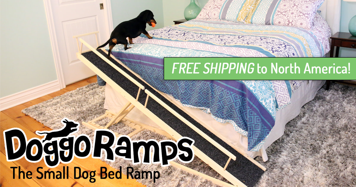 ramps for sausage dogs