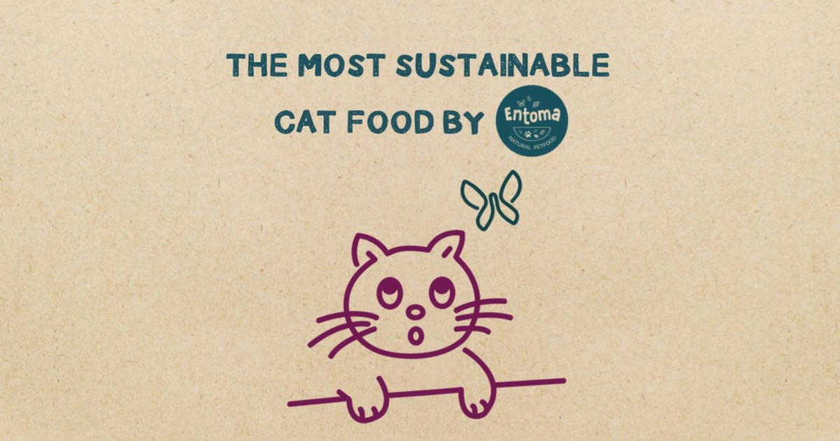 most sustainable cat food