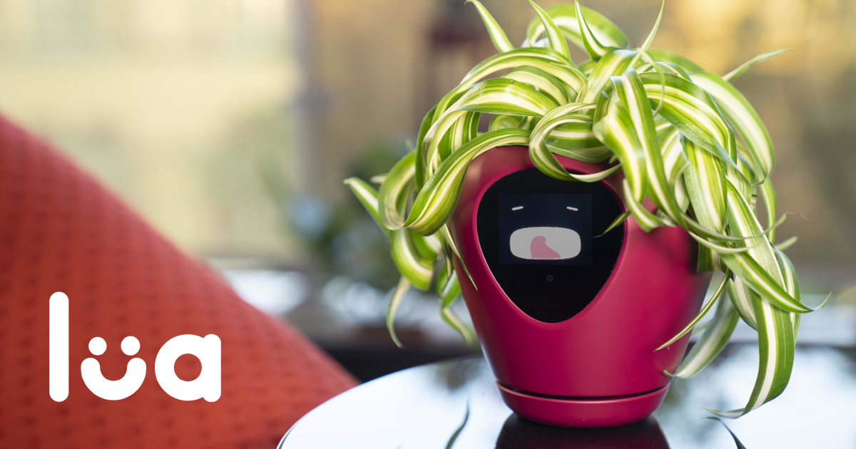 Lua, the planter with feelings! Indiegogo