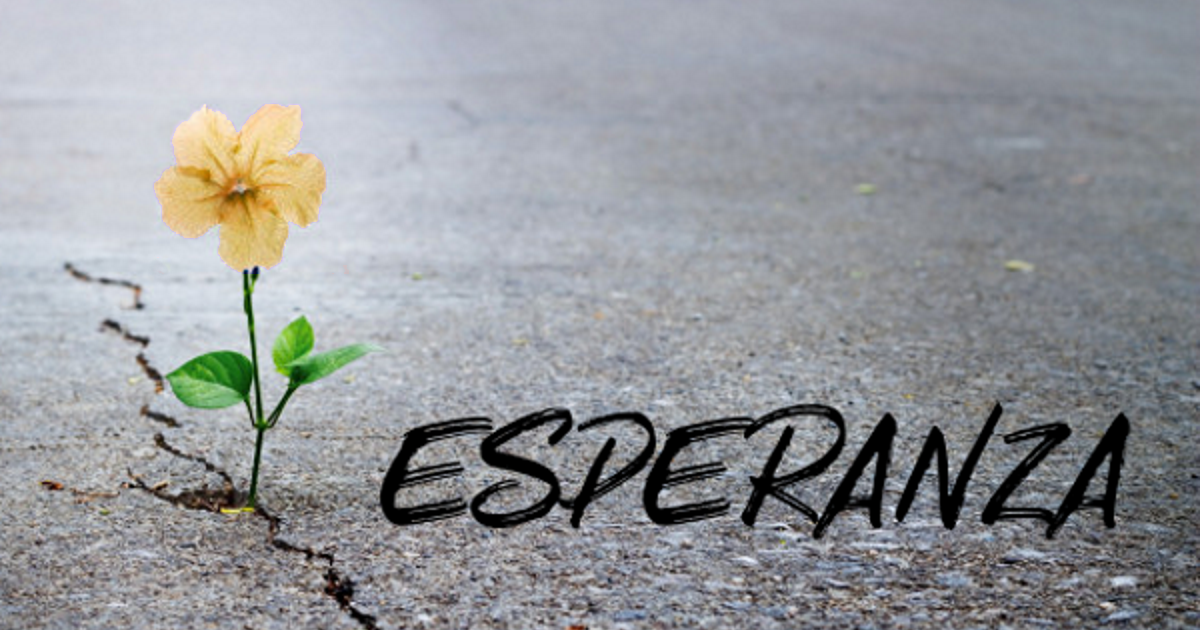 Esperanza | Indiegogo