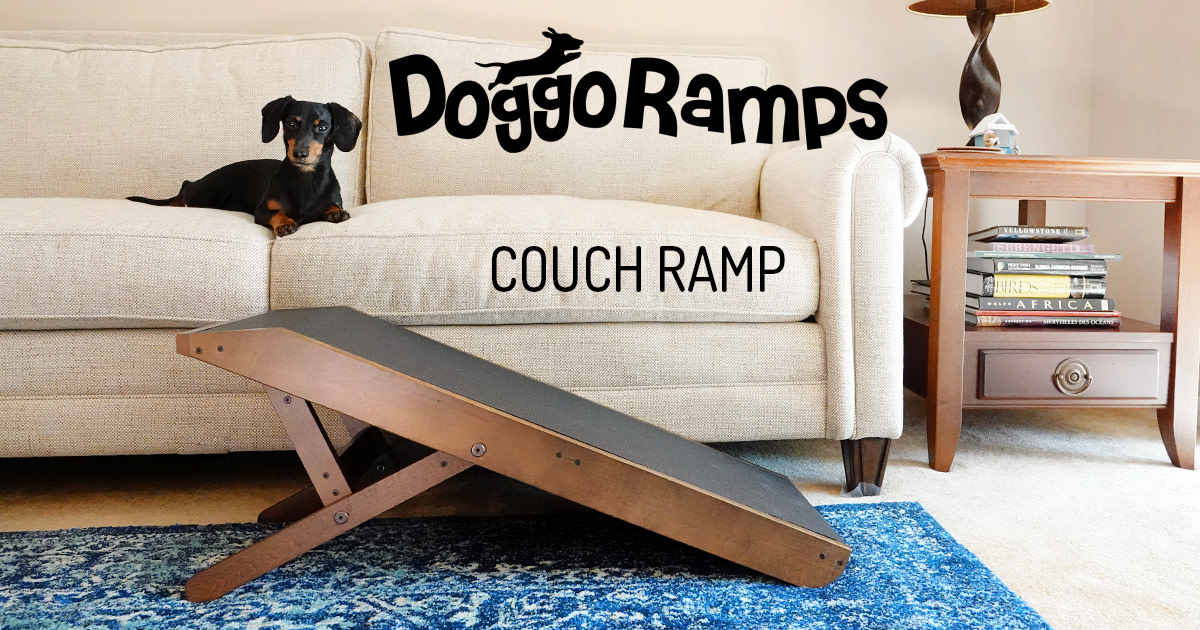 Indiegogo doggoramps shop