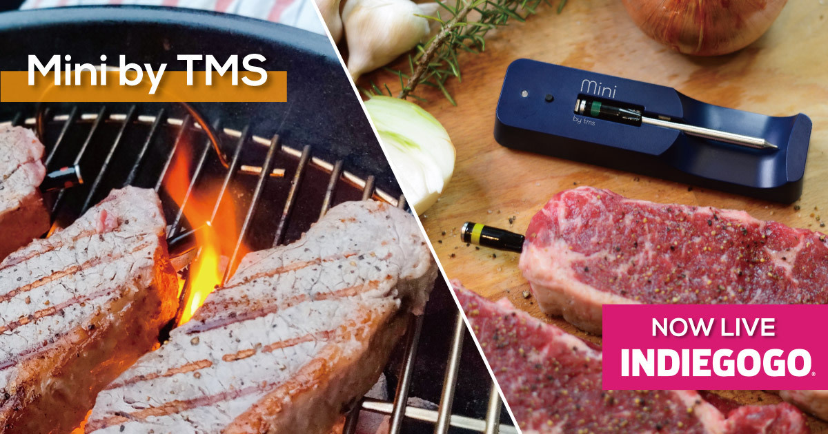 Mini by TMS - The Smallest Meat Thermometer