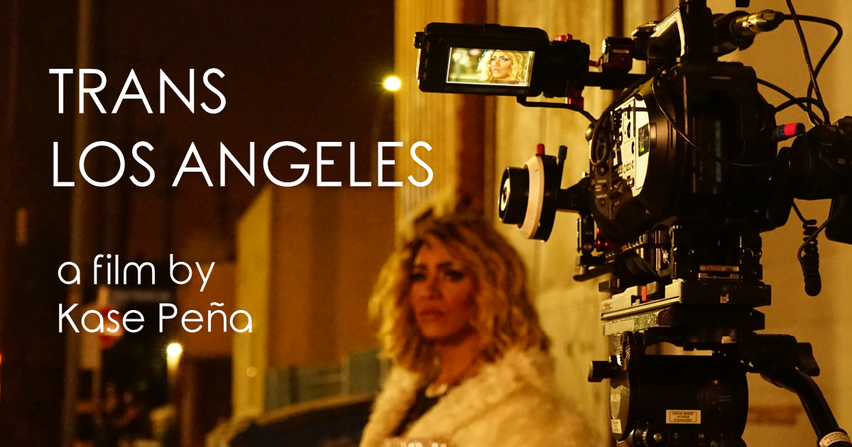 TRANS LOS ANGELES Indiegogo