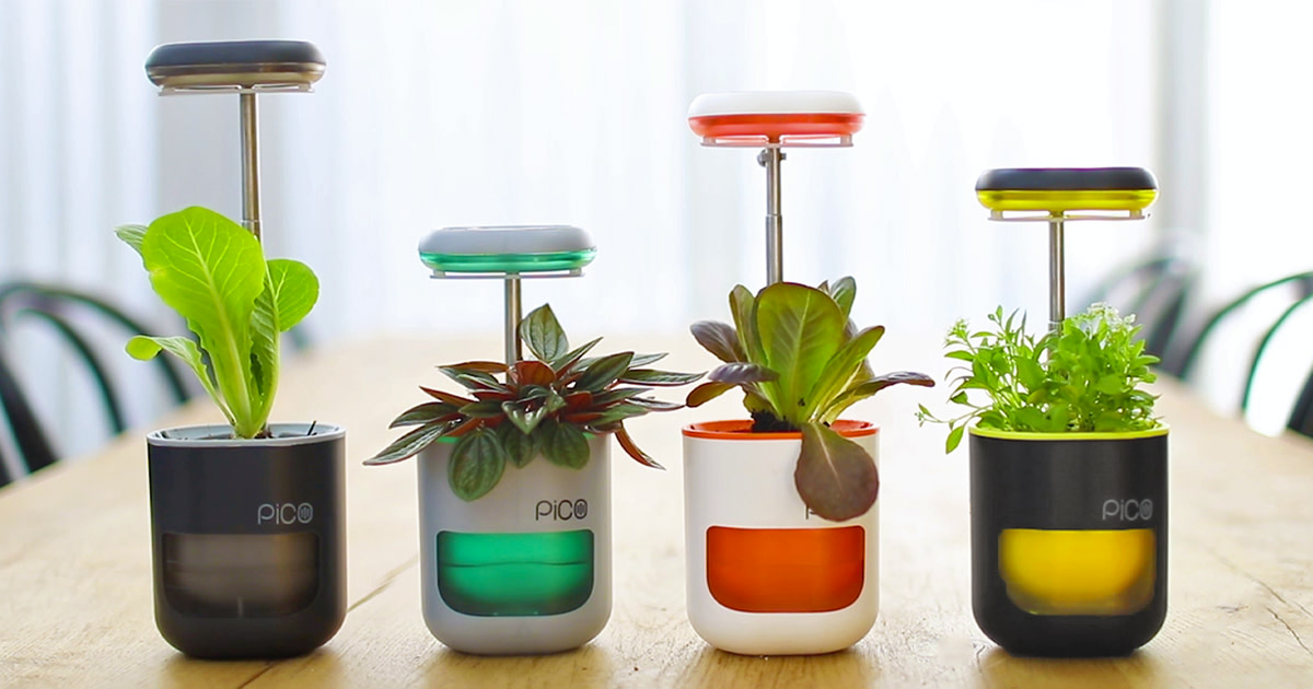 PICO: A garden in your palm. Growing is fun again! | Indiegogo