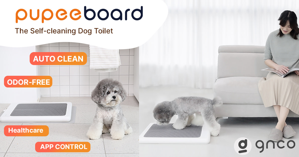 Self cleaning outlet dog toilet