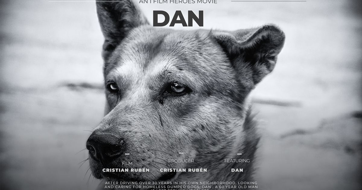 This Is Dan: A Man Who Saves Dumped Dogs | Indiegogo