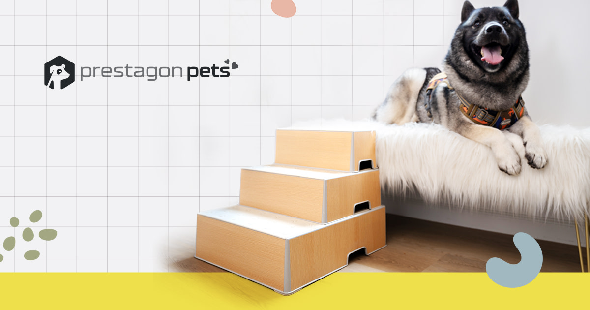 Indiegogo dog sale ramp