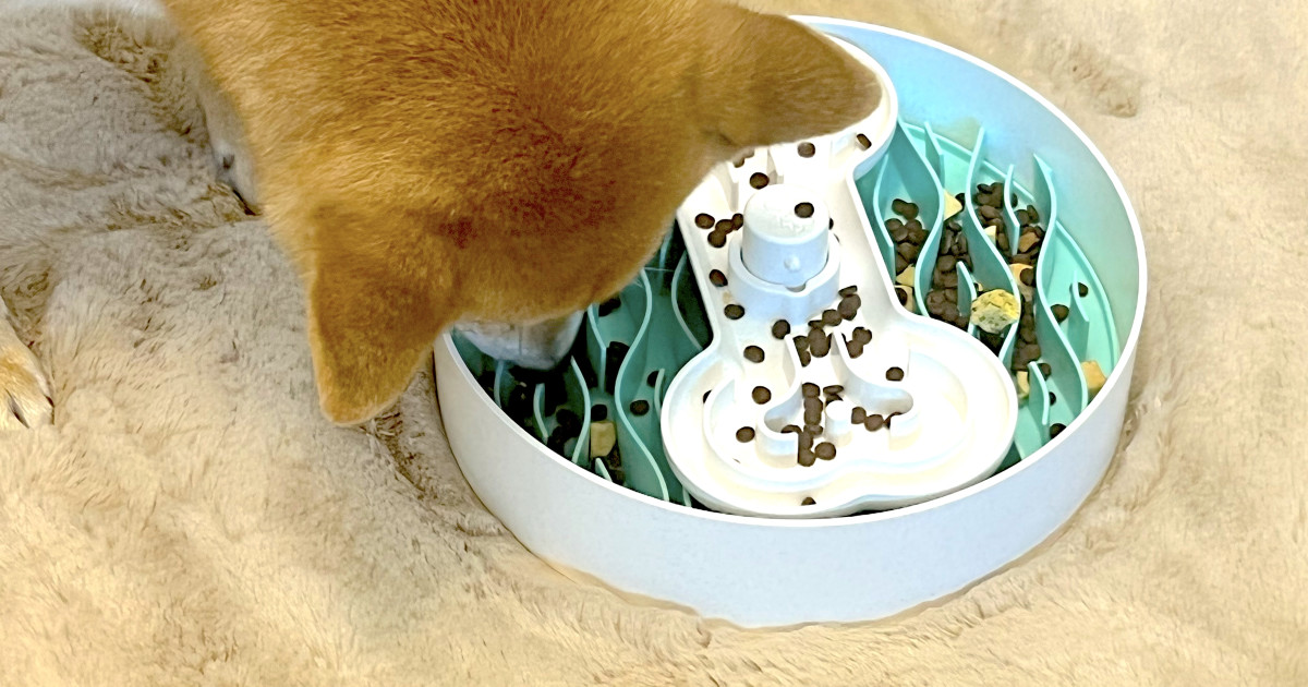 PUZZLE FEEDER - A Eating Habit Changing Device for Your Dog by PUZZLE FEEDER  — Kickstarter