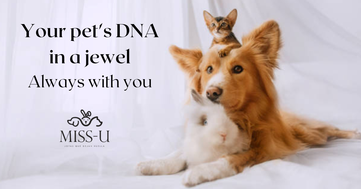 Pet on sale dna necklace