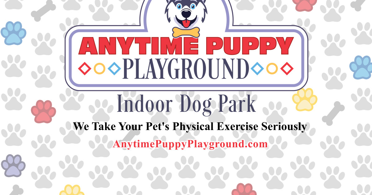 Indoor clearance puppy playground