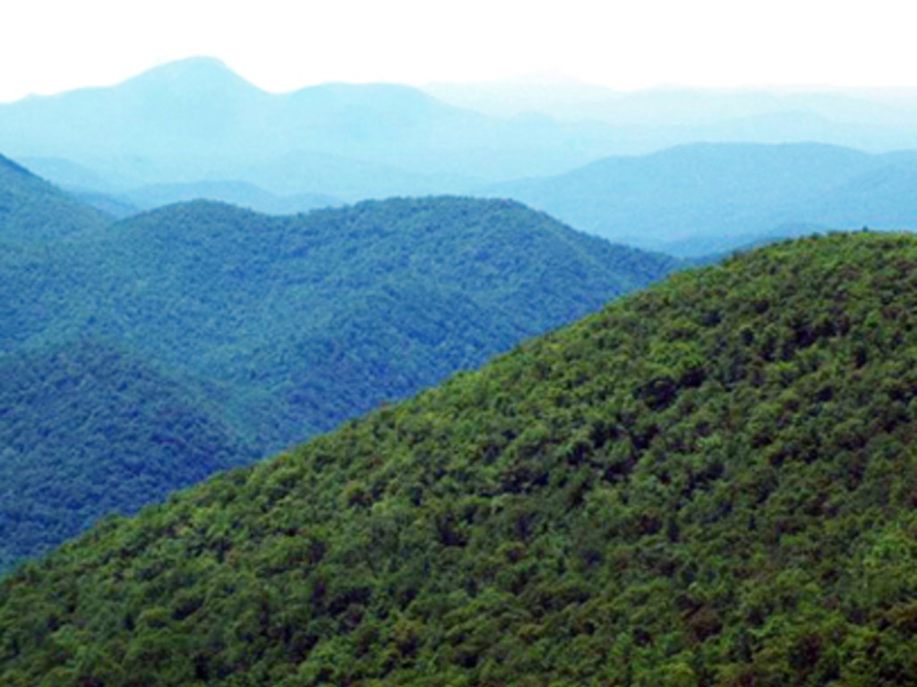 Наибольшая высота аппалачи. Гора митчелл аппалачи. Горы аппалачи рельеф. Горная система аппалачи. Гора митчелл аппалачи.