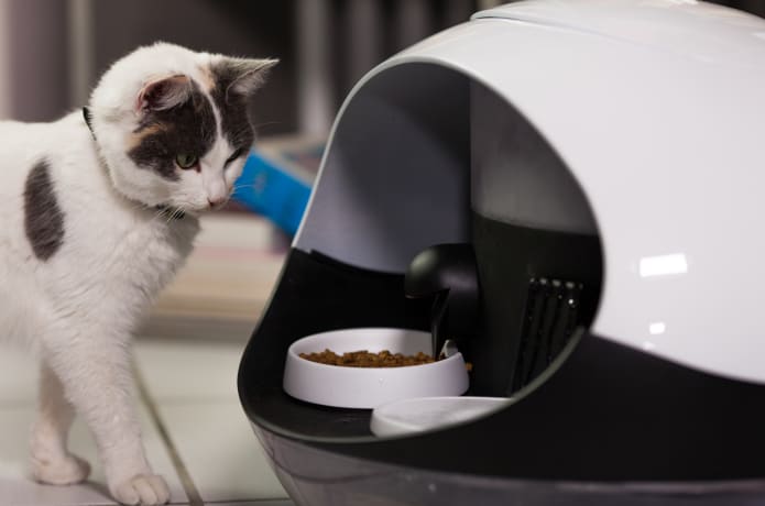 Catspad Smart Food Water Dispenser for Cats Indiegogo
